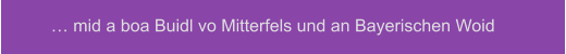 … mid a boa Buidl vo Mitterfels und an Bayerischen Woid